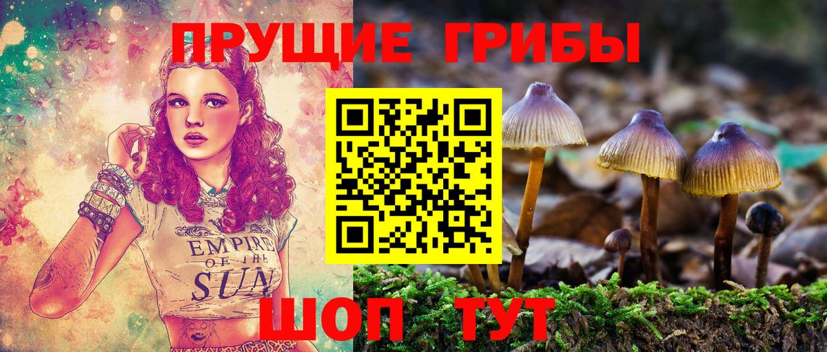 Галлюциногенные грибы Magic Shrooms  Псилоцибиновые грибы Psilocybe  Вход с VPN  Советск 