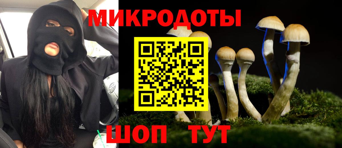 Псилоцибиновые грибы Magic Shrooms Советск